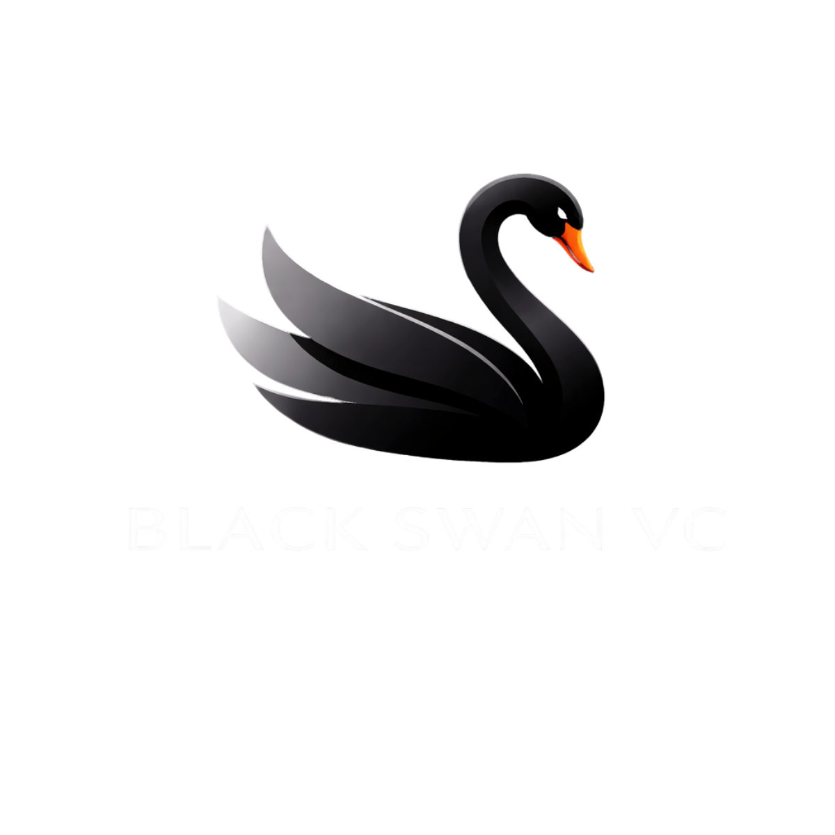 Black Swan VC